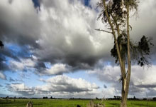 阿森纳前锋状态回暖，连续五场比赛取得进球，成为球队生力军