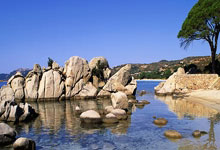 南安普顿主场迎战阿森纳：绿军团冀挽颓势