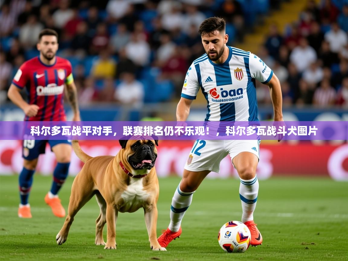 科尔多瓦战平对手，联赛排名仍不乐观！，科尔多瓦战斗犬图片