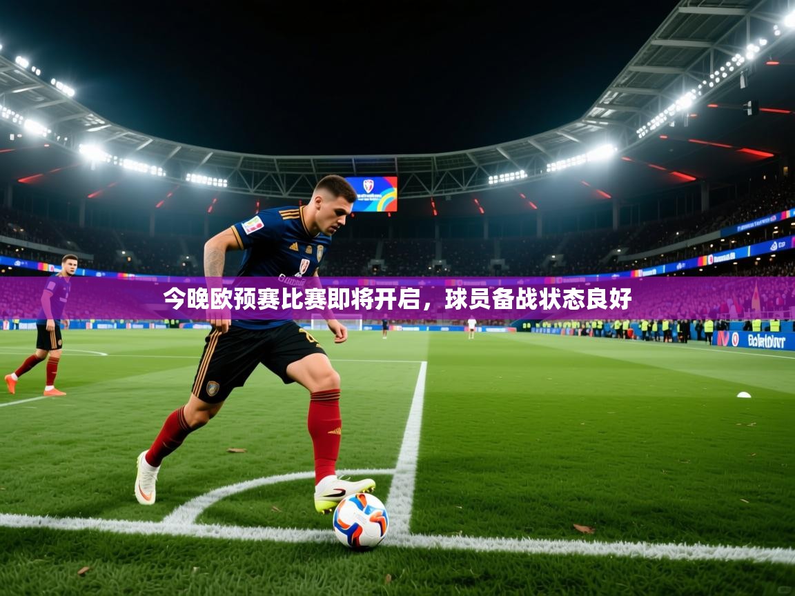 今晚欧预赛比赛即将开启，球员备战状态良好